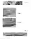 Fig. 06 - Volume rendering of 3D sonar data