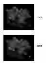 Fig. 06 - Method of object tracking using sonar imaging