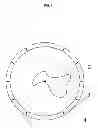 Fig. 02 - Timepiece to display a value of a time unit