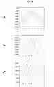 Fig. 13 - Skew detection method and optical disc device