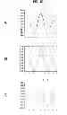 Fig. 14 - Skew detection method and optical disc device