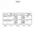 Fig. 09 - Network management apparatus, network management method, and network management system