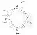 Fig. 03 - MAC flush optimizations for ethernet rings