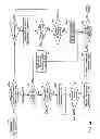 Fig. 14 - Directional adjustment to quality of service based on monitored traffic activity on a link