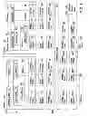 Fig. 02 - Sliced routing table management with replication