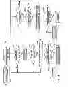 Fig. 19 - Managing guaranteed bit rate quality of service resource allocation based on guaranteed bit rate data activity on a link