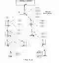 Fig. 03 - Updating multicast group information of a client device of a wireless mesh network