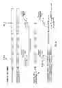 Fig. 09 - Dynamic selection of early-RX duration during network sleep operation