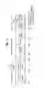 Fig. 04 - Method and device for terminal to execute uplink HARQ operation in wireless communication system