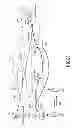 Fig. 04 - Method and apparatus for supporting handover over internet