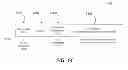 Fig. 17 - Methods for MAC frame extensibility and frame specific MAC header design for WLAN systems