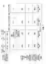 Fig. 06 - Sliced routing table management