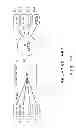 Fig. 02 - Ethernet switch and communication method