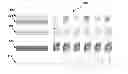 Fig. 01 - Transform basis adjustment in scalable video coding