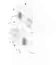 Fig. 11 - Speaker