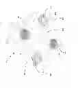 Fig. 12 - Speaker