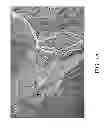 Fig. 02 - Image station matching, preprocessing, spatial registration and change detection with multi-temporal remotely-sensed imagery