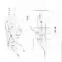 Fig. 20 - Motion-validating remote monitoring system