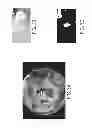 Fig. 04 - Heuristic-based approach for automatic payment gesture classification and detection
