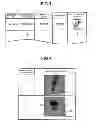 Fig. 04 - INFORMATION PROCESSING APPARATUS AND INFORMATION PROCESSING METHOD