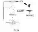 Fig. 22 - COMPACT BIOMETRIC ACQUISITION SYSTEM AND METHOD