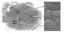 Fig. 01 - Boosted consensus classifier for large images using fields of view of various sizes