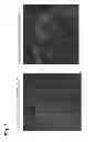 Fig. 02 - Cell analysis method, cell analysis device, and cell analysis program