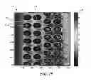 Fig. 13 - DESCRIPTOR GUIDED FAST MARCHING METHOD FOR ANALYZING IMAGES AND SYSTEMS USING THE SAME
