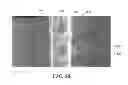 Fig. 19 - DESCRIPTOR GUIDED FAST MARCHING METHOD FOR ANALYZING IMAGES AND SYSTEMS USING THE SAME