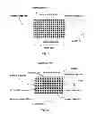 Fig. 02 - SYSTEM FOR PROCESSING A DIGITAL IMAGE USING TWO OR MORE DEFINED REGIONS