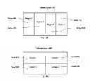 Fig. 06 - SYSTEM FOR PROCESSING A DIGITAL IMAGE USING TWO OR MORE DEFINED REGIONS