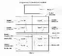 Fig. 07 - SYSTEM FOR PROCESSING A DIGITAL IMAGE USING TWO OR MORE DEFINED REGIONS