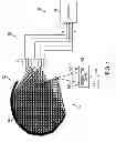 Fig. 05 - Polarization diverse demultiplexing