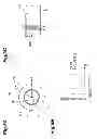 Fig. 06 - Optical fiber