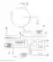 Fig. 13 - Image forming apparatus having deformed roller determination