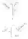 Fig. 09 - Systems and Methods for Securing Mobile Medical Equipment Supporter Systems to Patient Transporters with Adjustability