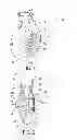 Fig. 02 - Cutter apparatus for centrifugal pump