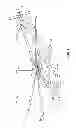 Fig. 02 - Electromechanical linear actuator for in blade rotor control