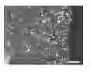 Fig. 01 - NOVEL METHOD OF IMPROVING THE MECHANICAL PROPERTIES OF POWDER METALLURGY PARTS BY GAS ALLOYING