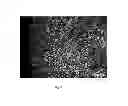 Fig. 06 - NOVEL METHOD OF IMPROVING THE MECHANICAL PROPERTIES OF POWDER METALLURGY PARTS BY GAS ALLOYING