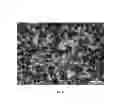 Fig. 07 - NOVEL METHOD OF IMPROVING THE MECHANICAL PROPERTIES OF POWDER METALLURGY PARTS BY GAS ALLOYING