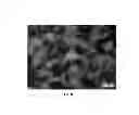 Fig. 09 - NOVEL METHOD OF IMPROVING THE MECHANICAL PROPERTIES OF POWDER METALLURGY PARTS BY GAS ALLOYING