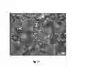 Fig. 16 - NOVEL METHOD OF IMPROVING THE MECHANICAL PROPERTIES OF POWDER METALLURGY PARTS BY GAS ALLOYING
