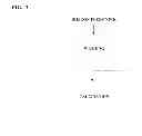 Fig. 04 - SYSTEMS, METHODS AND COMPOSITIONS FOR THE PRODUCTION OF SILICON NITRIDE NANOSTRUCTURES