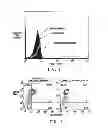 Fig. 02 - Method of imaging osteoarthritis using a folate conjugate