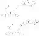 Fig. 79 - METHODS OF PREPARING TRIAZOLE-CONTAINING RADIOIODINATED COMPOUNDS