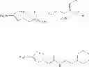 Fig. 99 - METHODS OF PREPARING TRIAZOLE-CONTAINING RADIOIODINATED COMPOUNDS