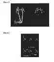Fig. 04 - Imaging agents and methods of use thereof