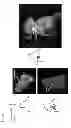 Fig. 06 - Imaging agents and methods of use thereof