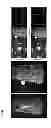 Fig. 08 - Imaging agents and methods of use thereof